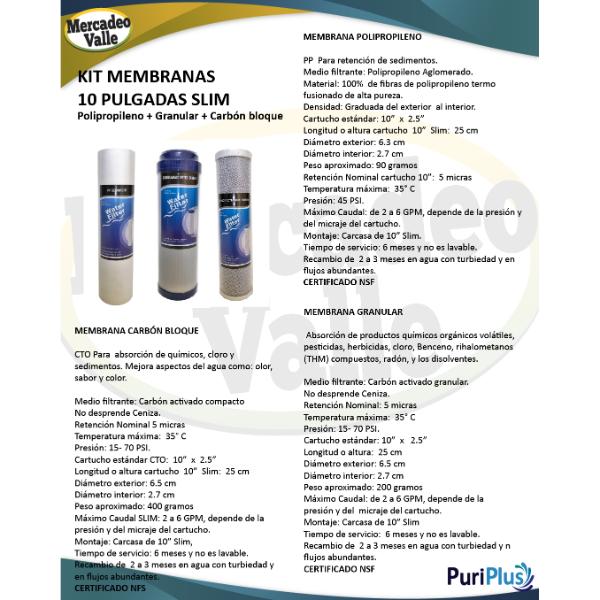 10" bacterias y carcasa resistente a UV Filtro de agua rosca 1" fhpr 1-3VS-AB 